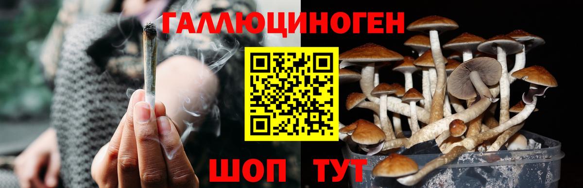 Галлюциногенные грибы прущие грибы  Вход с VPN  Галлюциногенные грибы мицелий  Добрянка 